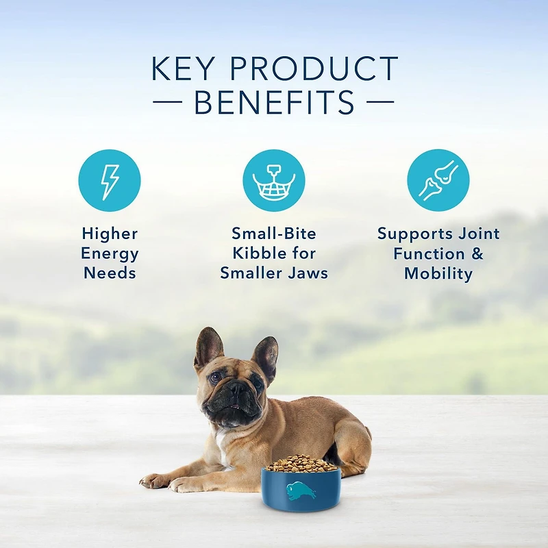 Blue Buffalo Life Protection Formula Natural Adult Small Breed Dry Dog Food, Beef and Brown Rice, 2.2kg-4.5kg