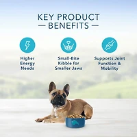 Blue Buffalo Life Protection Formula Natural Adult Small Breed Dry Dog Food, Beef and Brown Rice, 2.2kg-4.5kg