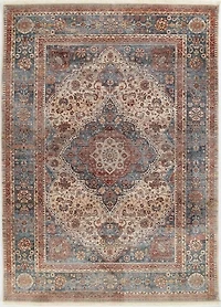 ECARPET Irina Traditional Area Rug for Living Room, Bedroom, Dining Room, Entrance, Hallway and More.