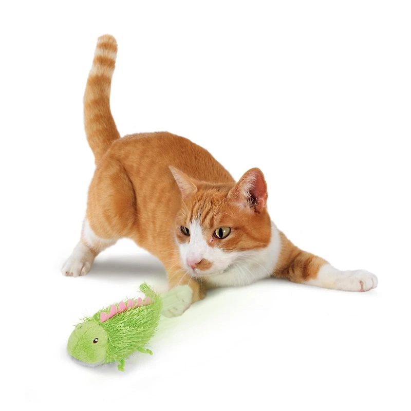 SmartyKat Cruzin Critter Electronic CAT Toy