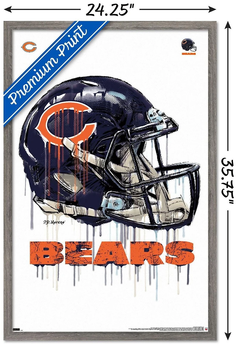 NFL Chicago Bears