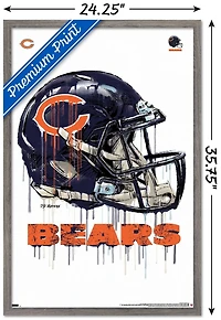 NFL Chicago Bears