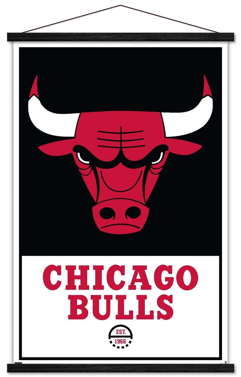 NBA Chicago Bulls