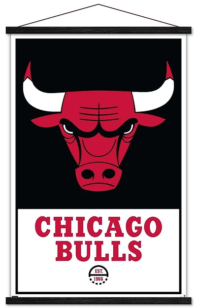 NBA Chicago Bulls