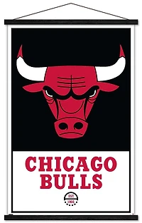 NBA Chicago Bulls