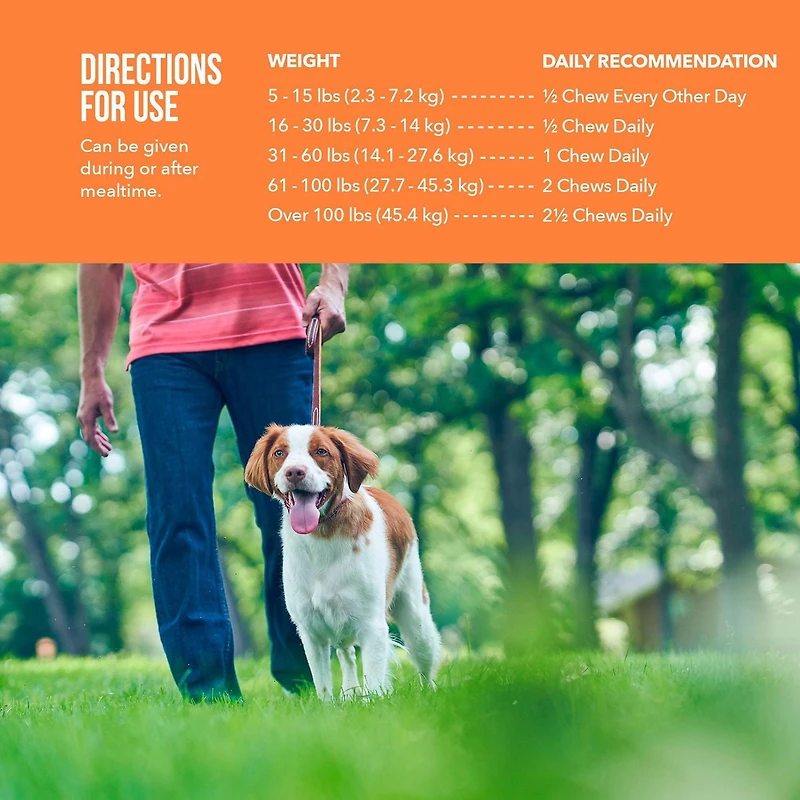 Synovi G4 Dog Joint Supplement Chews for Dogs of All Ages, Sizes and Breeds
