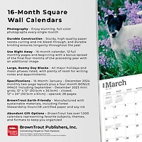 BrownTrout Fox Terriers 2024 Mur Carré 30.48x60.96 CM, 9781975467906