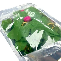 Door Toran 36" Leaves