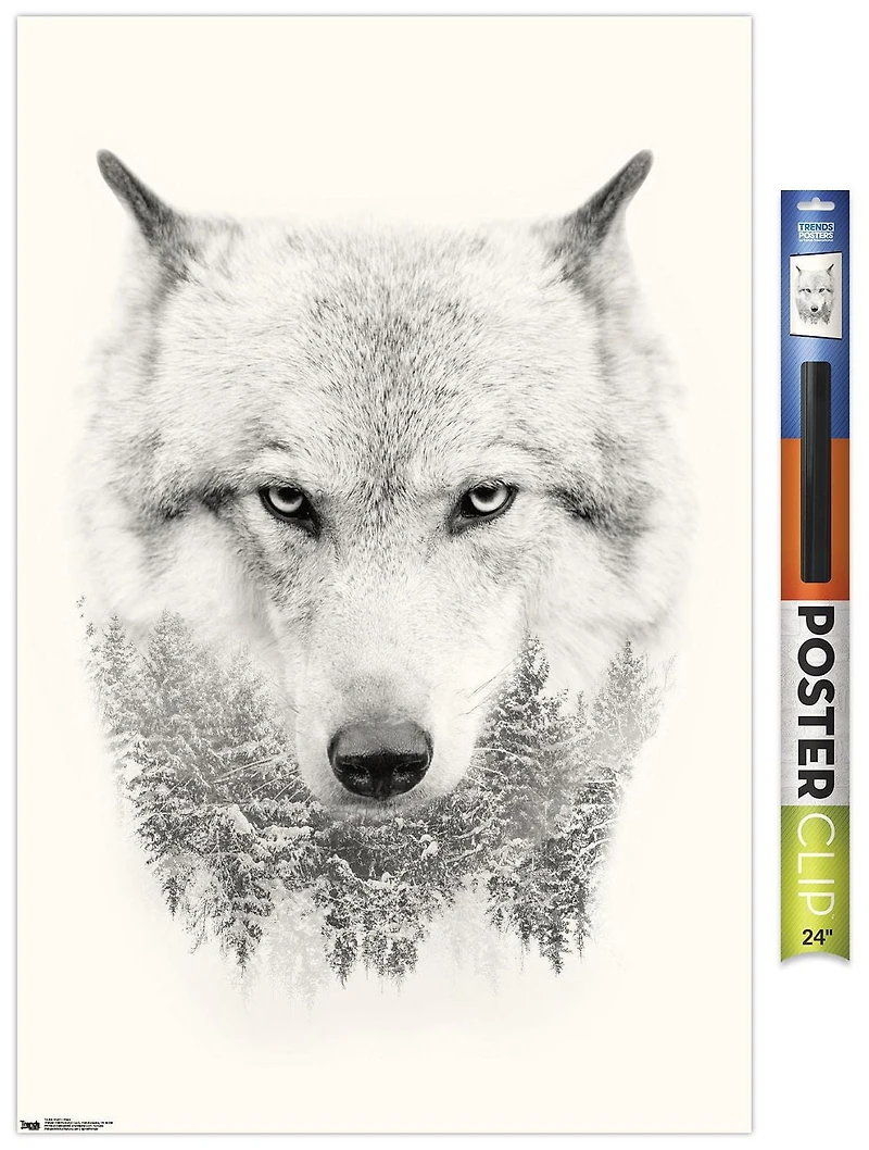 Loup