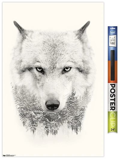 Loup