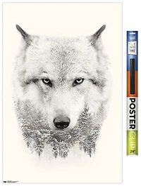 Loup
