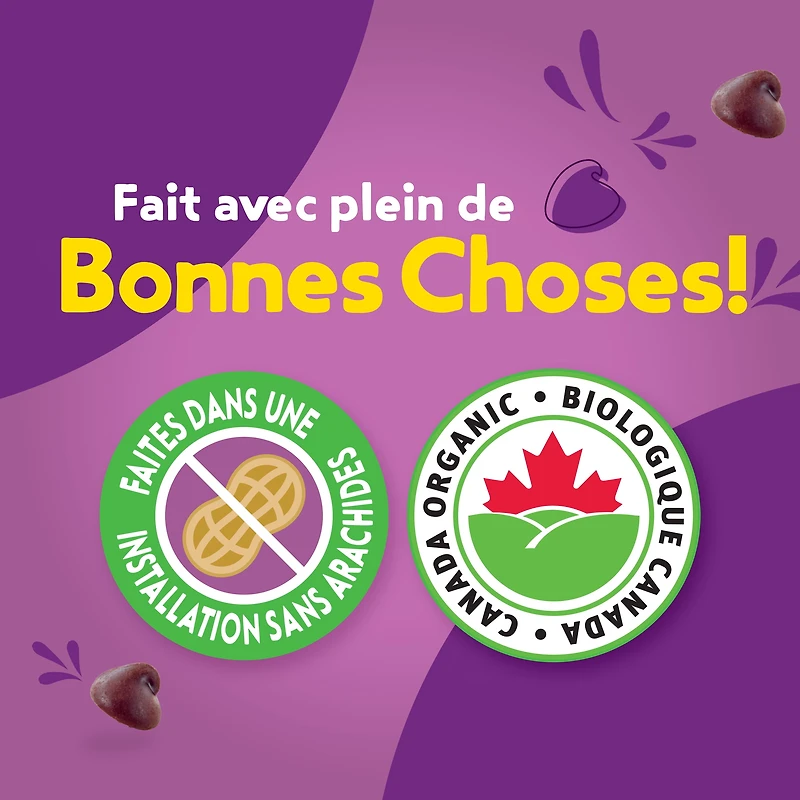 Annie's Biologique Enrobées aux brisures de Chocolat Barres granola 130g