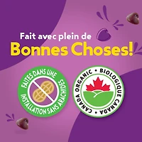 Annie's Biologique Enrobées aux brisures de Chocolat Barres granola 130g