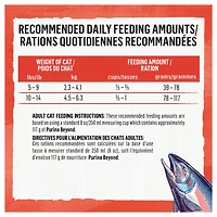 Beyond Simply Salmon & Whole Brown Rice Recipe, Dry Cat Food, 2.72 kg