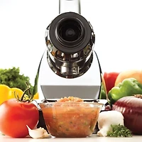Omega J8006HDC Cold Press Masticating Juicer & Nutrition System