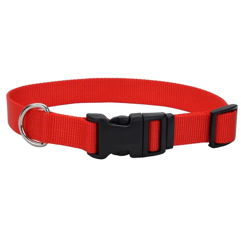Pet Attire By Coastal Collier Réglable pour Chien avec Boucle en Plastique Rouge, Moyen, 5/8" x 12"-18" 5/8" x 12" - 18"
