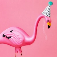Hallmark Birthday Card (Flamingo)