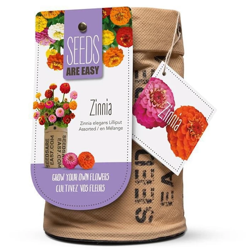 Graines - Zinnia