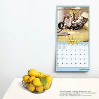 BrownTrout Avanti Cranky Kitties 2024 12x24 Inch Square Wall Calendar, 9781975466503