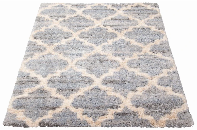 ECARPET Trellis Frieze Area Rug Fluffy Carpet for Bedroom, Ultra Soft & Plush Annica Collection