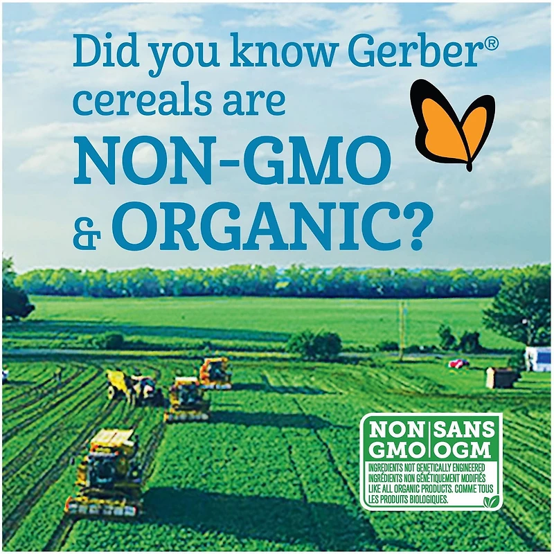 GERBER® Organic Wheat & Wholegrain Oat Mango Carrot, Baby Cereal 208 g