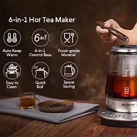 BUYDEEM K2423 Tea Maker, Durable 316 Stainless Steel & German Schott Glass Electric Kettle, Removable Infuser, Auto Keep Warm, BPA Free, 1.2L