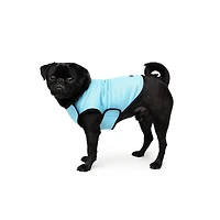 One Paw, Dog Cooling Vest, Perfect For Hot Days, Multiple Sizes, One Paw, Dog Cooling Vest
