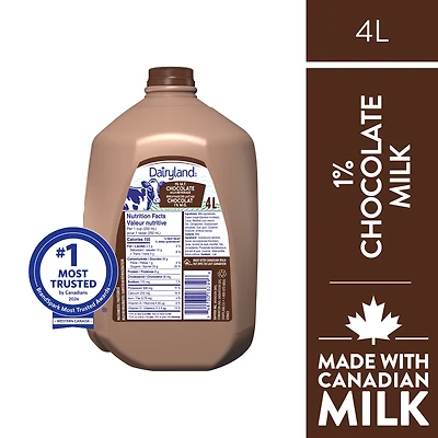 Dairyland Lait au Chocolat Partiellement Écrémé 1 %