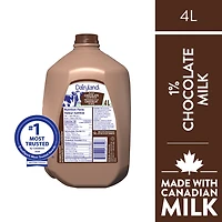 Dairyland Lait au Chocolat Partiellement Écrémé 1 %