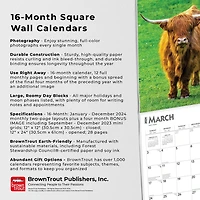 BrownTrout Cows 2024 12x24 Inch Square Wall Calendar, 9781975462499