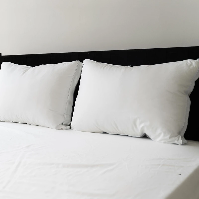 Lot de 2 Oreillers de Lit Sealy Ferme pour Dormeur sur le Dos, Housse en Coton, Lavable en Machine