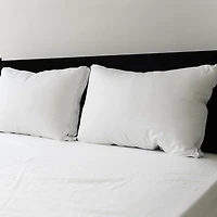 Lot de 2 Oreillers de Lit Sealy Ferme pour Dormeur sur le Dos, Housse en Coton, Lavable en Machine