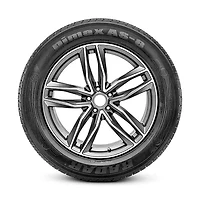 Radar Dimax AS 8 255/60R18XL 112W BSW Tire