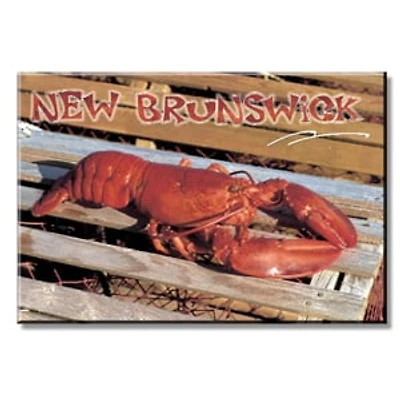 POSTCARD FACTORY MAGNET