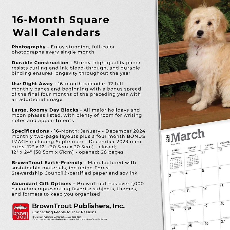 BrownTrout Goldendoodles 2024 12x24 Inch Square Wall Calendar, 9781975462932