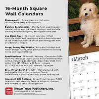 BrownTrout Goldendoodles 2024 12x24 Inch Square Wall Calendar, 9781975462932