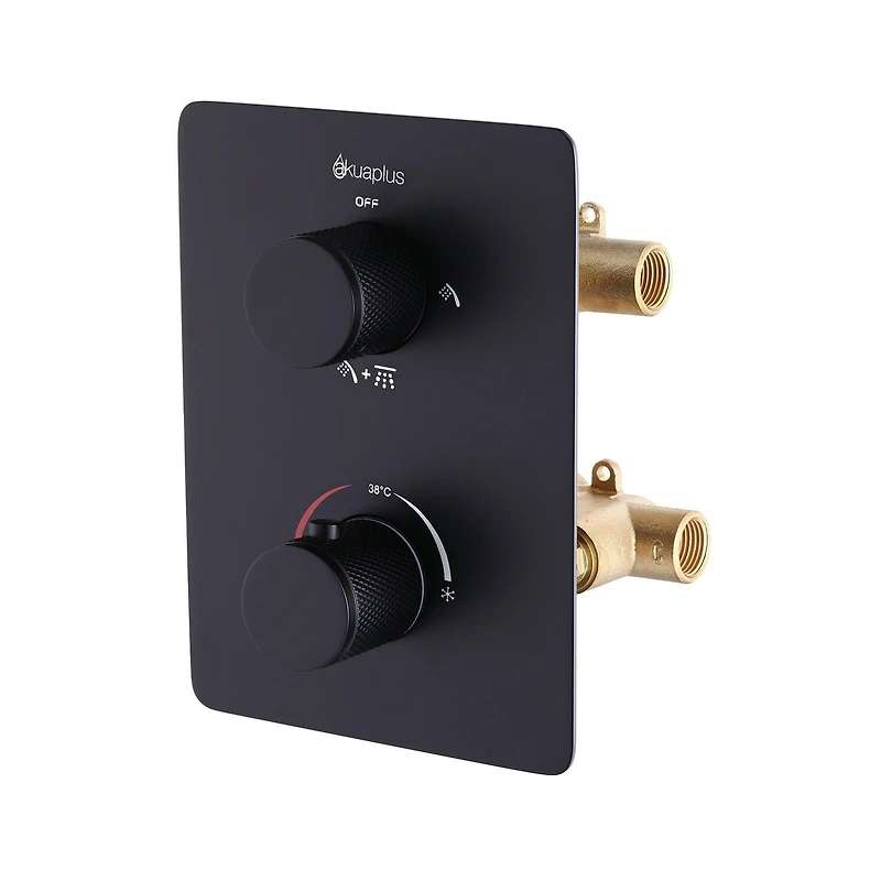 Square 3-functions thermostatic valve. handheld handshower and shower head, or simultaneously,  matte black finish