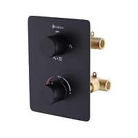 Square 3-functions thermostatic valve. handheld handshower and shower head, or simultaneously,  matte black finish