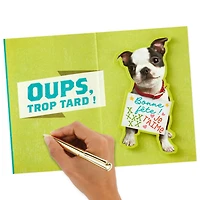 Hallmark Funny Birthday Card for Grandson (Puppy)