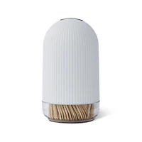 Thyme & Table 300 cure-dents en bambou naturel THYME&TABLE TT 300PC CURE-DENTS