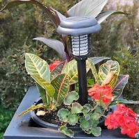 GREENSTRIKE® 2 en 1 Zapper Solaire & Lumière de Pieu