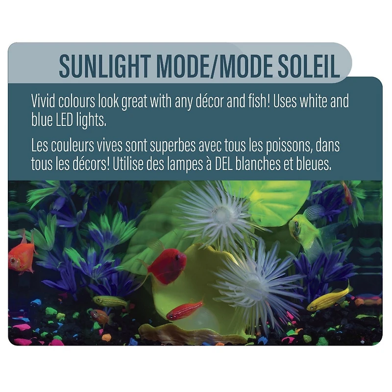 GloFish Kit d'aquarium parfait pour débutant 5 gallons