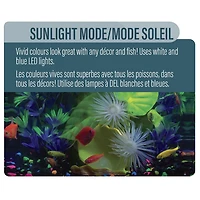 GloFish Kit d'aquarium parfait pour débutant 5 gallons