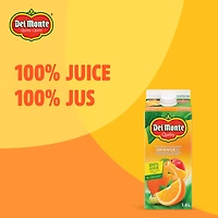 Del Monte Morning Sunshine Orange Juice Blend 1.6 L