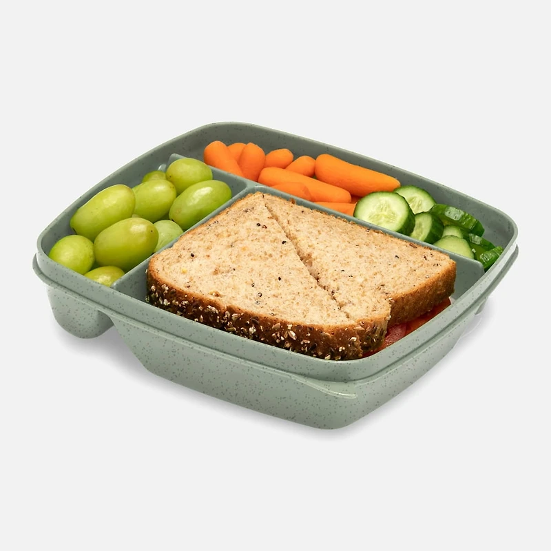 Joie Meal Seal Bento Boxes Assorted, Set of 3