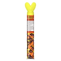 Canne Reese's Pieces 39 g