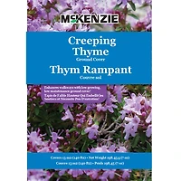 Thym Rampant Couvre sol