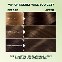 Garnier Nutrisse Ultra Crème, Permanent Hair Dye, Long-Lasting,1 unit