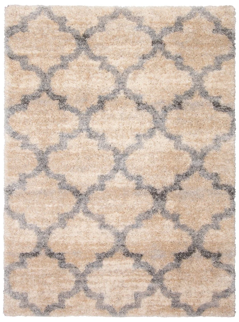ECARPET Trellis Frieze Area Rug Fluffy Carpet for Bedroom, Ultra Soft & Plush Annica Collection