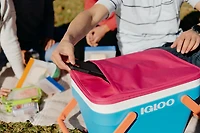 Igloo 25 Quart Picnic Basket Cooler, Cooler
